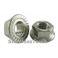 Hex Nut Serrated Flange 5/16-24 Stainless
